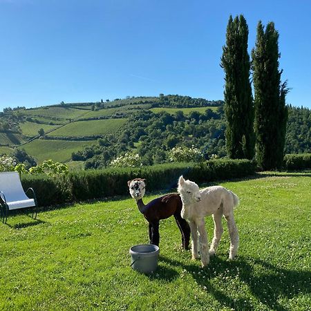 Villa Rignana Chianti Estate, Pool, Tennis,Cook 基安蒂格雷夫 外观 照片